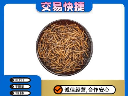 辽阳回收散虫草